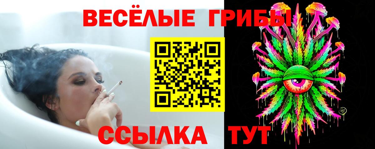 Псилоцибиновые грибы Magic Shrooms Городец